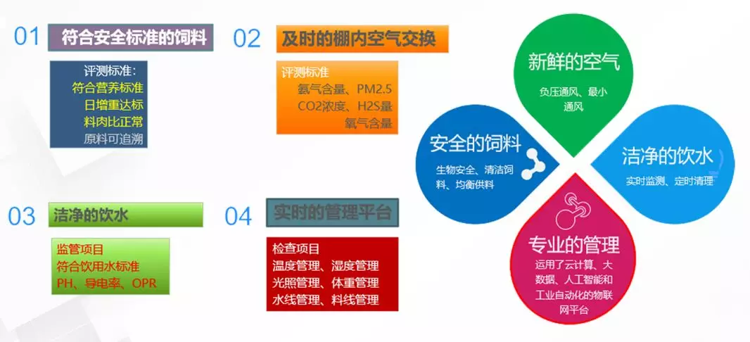 1724837301032.png 1581500131761780.png